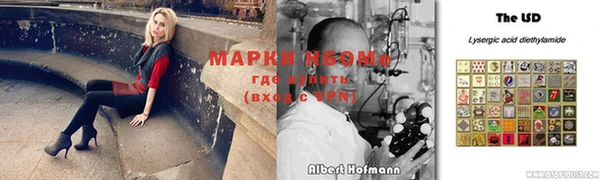 амф Алексин
