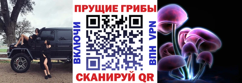 Псилоцибиновые грибы MAGIC MUSHROOMS  где найти   Александровское 